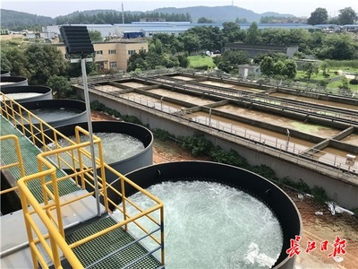 九峰明渠臨時污水處理設施高效運行，顯著削減入東湖污水量